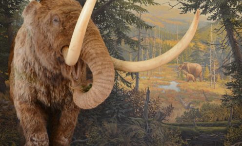 Mastodon