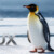 Logo für Gruppe Linux&Co