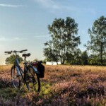 deutschland-lueneburger-heide-rad-g-1343872381