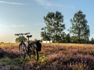 deutschland-lueneburger-heide-rad-g-1343872381