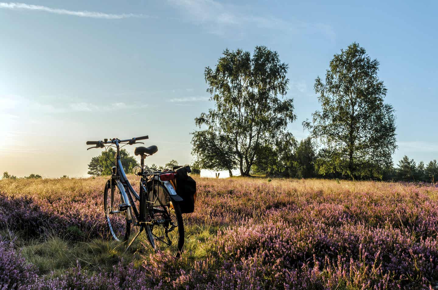 deutschland-lueneburger-heide-rad-g-1343872381