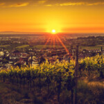 offenburg-2-2284x2912-800x1020