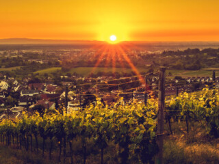 Offenburg 2-2284x2912-800x1020